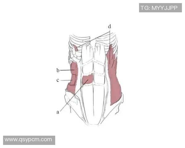 哑铃锻炼法图解助你轻松练就完美腹肌的全面指南